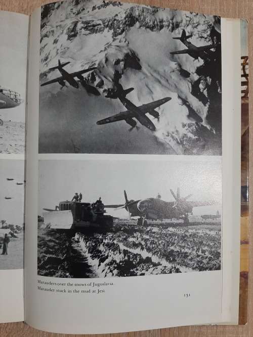 Buffoon in Flight - Author: Peter Atkins
