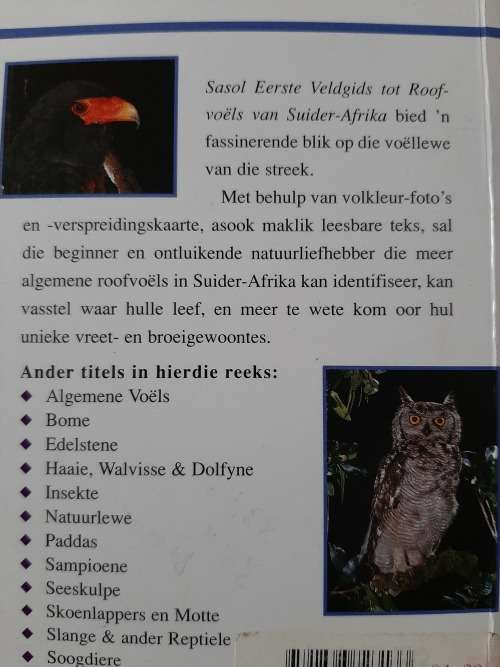 Sasol Eerste Veldgids tot Roofvoëls van Suider-Afrika - Author: David Allan