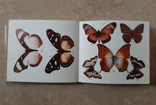 What Butterfly is That? - Author: C.G.C. Dickson