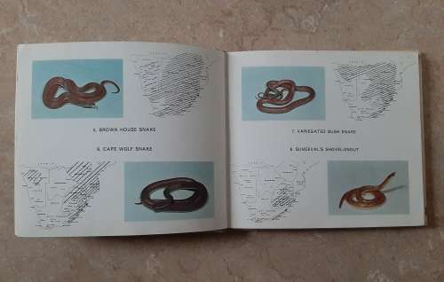 What Snake is that? - Author: John Visser