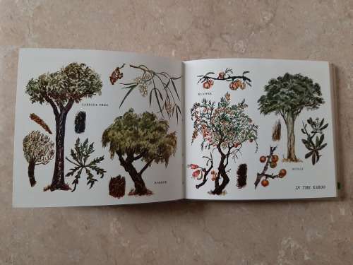 What Tree is that? - Author: Hazel Stokes