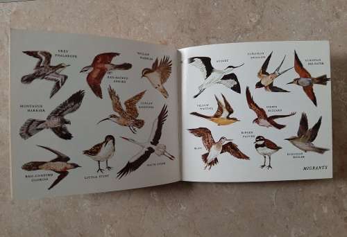 What Bird is that? - Author: Hazel Stokes