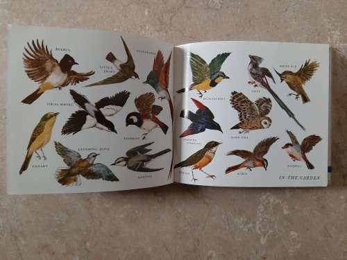 What Bird is that? - Author: Hazel Stokes
