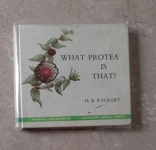 What Protea is that? - Author: H. B. Rycroft