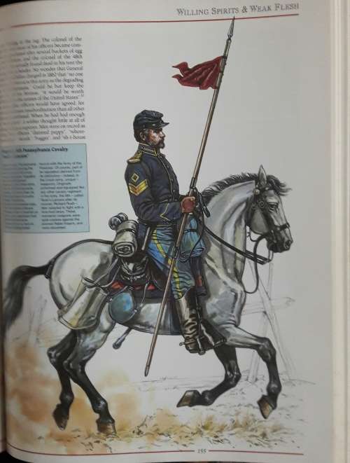 Fighting Men of the Civil War - William C Davis