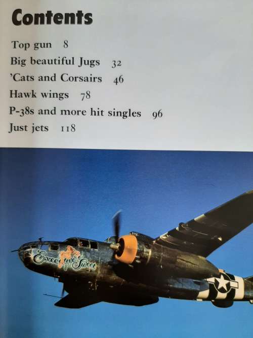 Gunfighters ~ Airworthy fighter airplanes of WWII & Korea - Author: Michael O`Leary