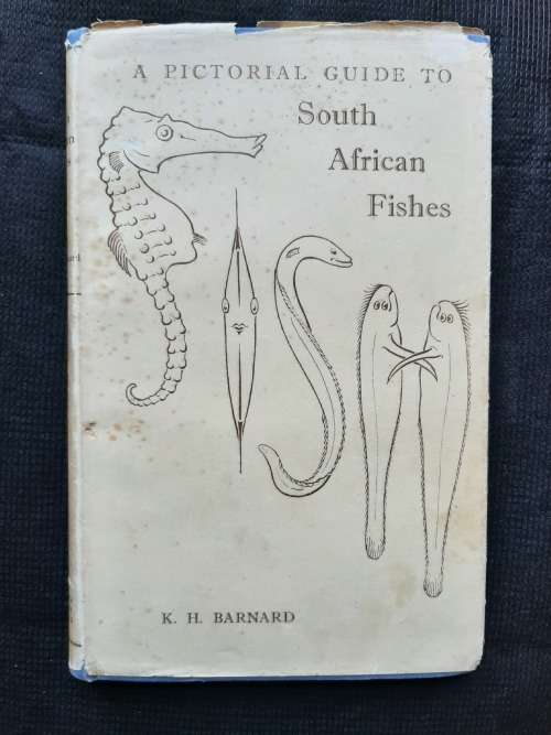 A Pictorial Guide to South African Fishes - Author: K. H. Barnard