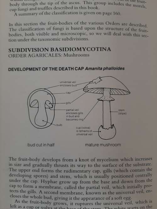 A Field Guide to the Mushrooms of S.A. - Author: Levin, Branch, Rappoport & Mitchell