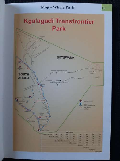 Kgalagadi Transfrontier Park - Author: Peter Derichs