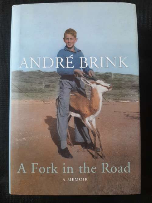 A Fork in the Road - Author: André Brink