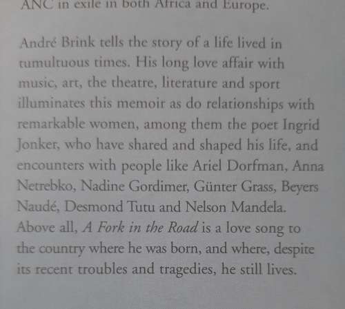 A Fork in the Road - Author: André Brink