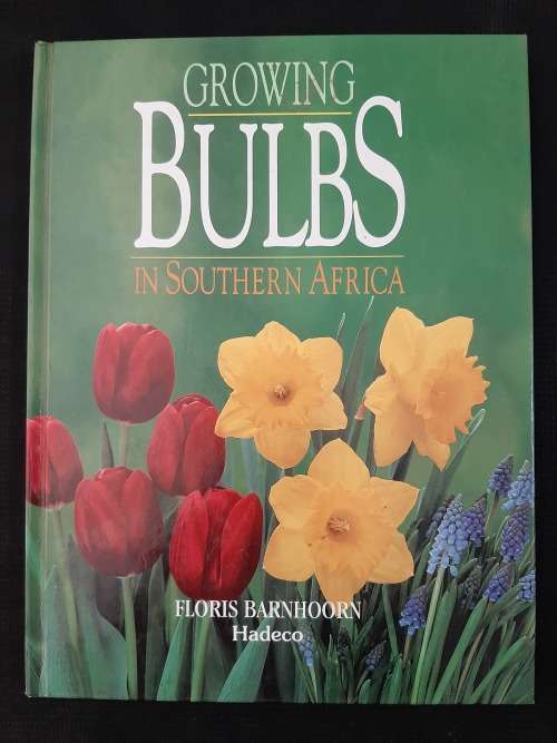 Growing Bulbs in South Africa - Author: Floris Barnhoorn of Hadeco