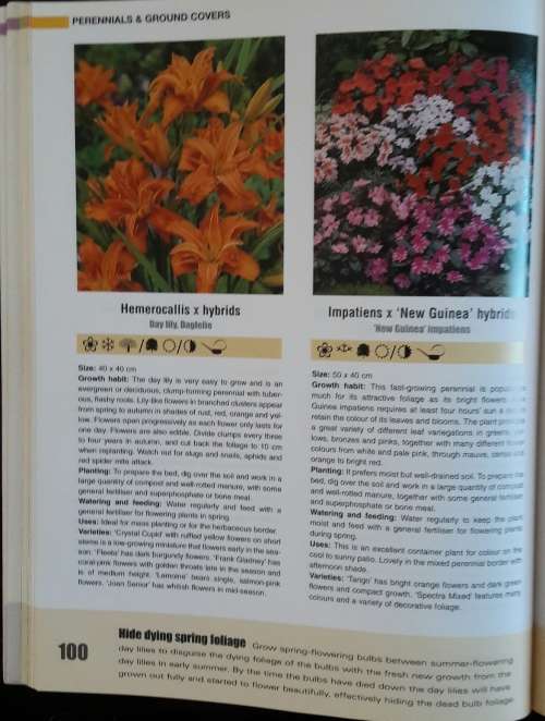 Plants & Flowers