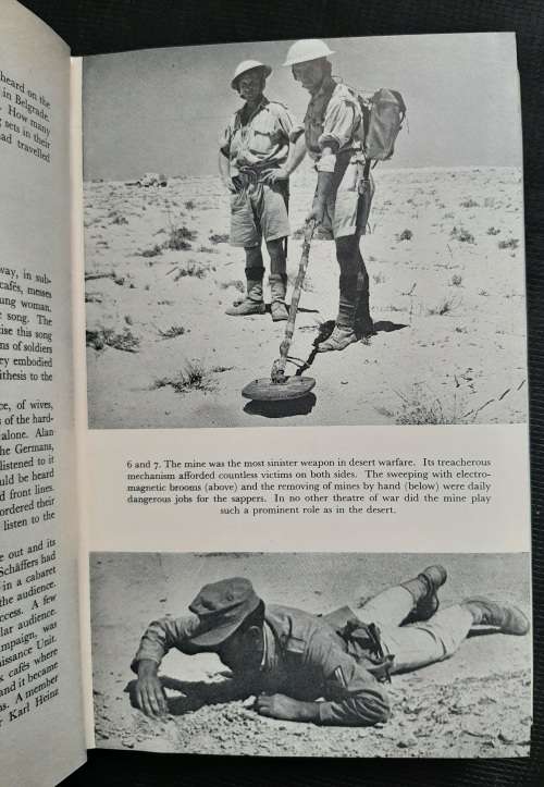 Foxes of the Desert - Author: Paul Carel