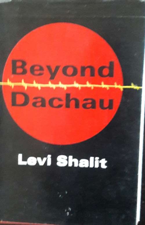 Beyond Dachau - Levi Shalit