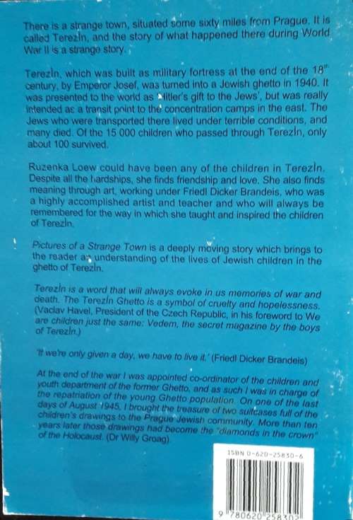 Pictures of a Strange Town - Sandra Lee Braude