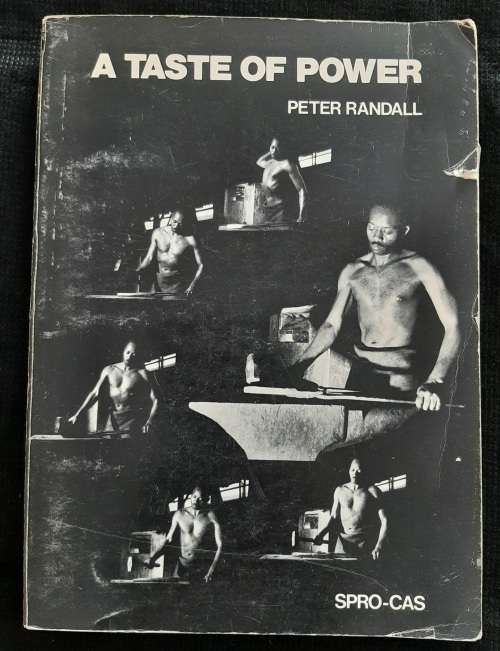 A Taste of Power By Peter Randall