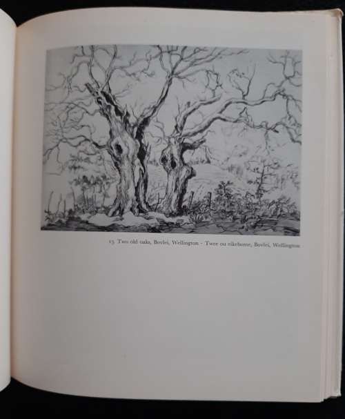 Gregoire Boonzaier By F.P. Scott