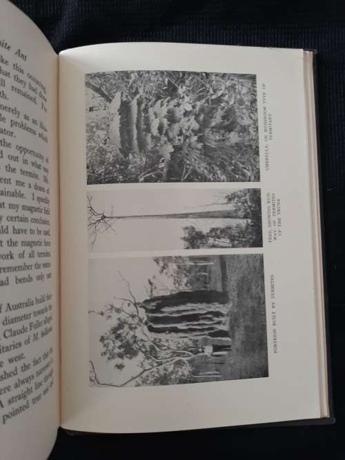 The Soul of the White Ant By Eugène N. Marais