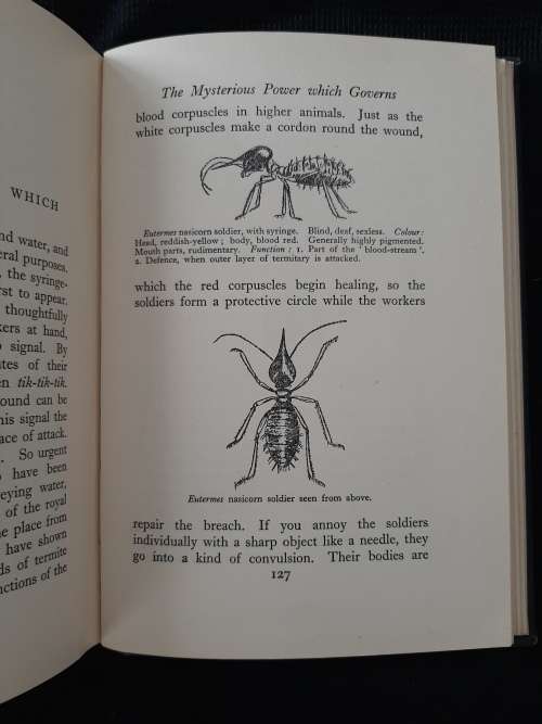 The Soul of the White Ant By Eugène N. Marais