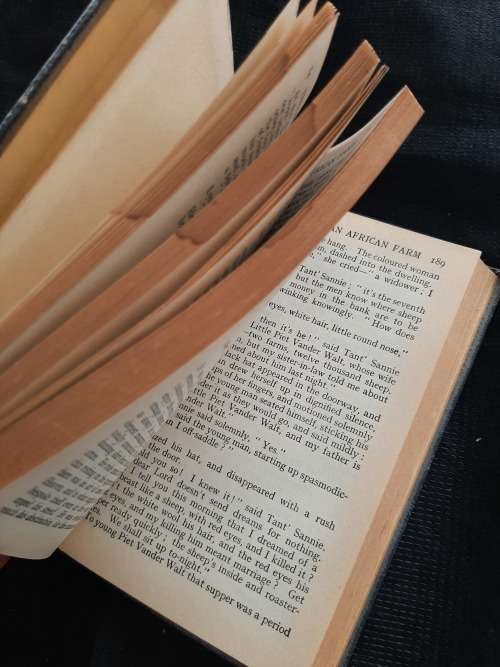 The Story of An African Farm By Olive Schreiner
