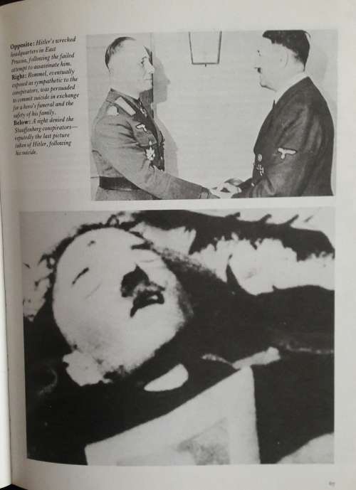The Illustrated Hitler Diary- 1917 to 1945
