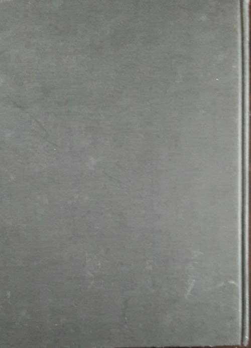 The Illustrated Hitler Diary- 1917 to 1945