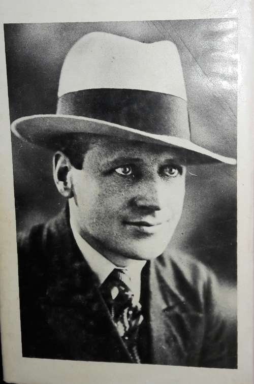 Sunflower to the Sun -  The Life of Herman Charles Bosman By Valerie Rosenberg