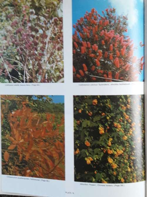 A Comprehensive Guide to Gardening in Rhodesia - Volume One - Philip Wood
