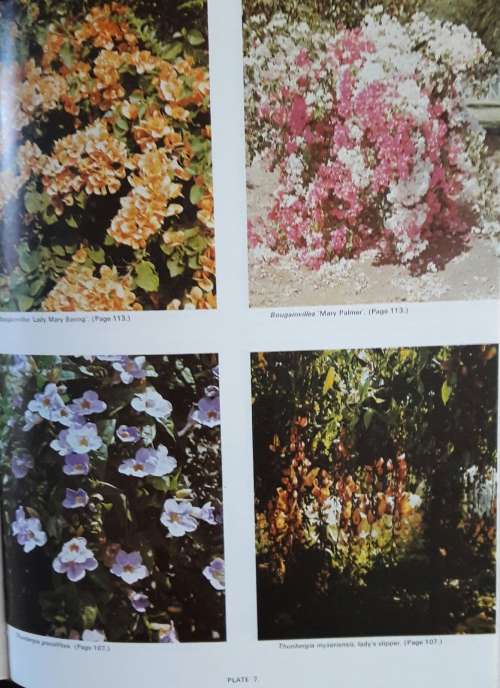 A Comprehensive Guide to Gardening in Rhodesia - Volume One - Philip Wood