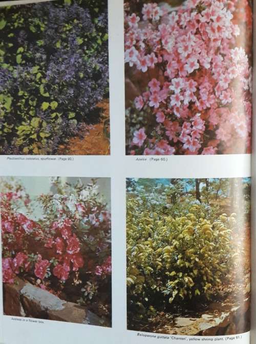 A Comprehensive Guide to Gardening in Rhodesia - Volume One - Philip Wood