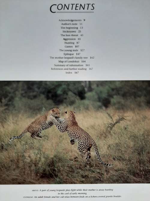 The Leopards of Londolozi By Lex Hes