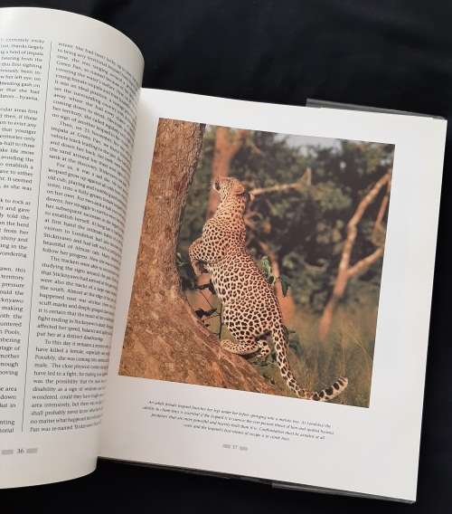 The Leopards of Londolozi By Lex Hes