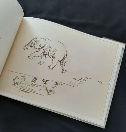 Drawn from Life: A Portfolio of Wildlife drawings By Zakkie Eloff