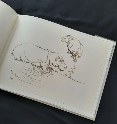 Drawn from Life: A Portfolio of Wildlife drawings By Zakkie Eloff