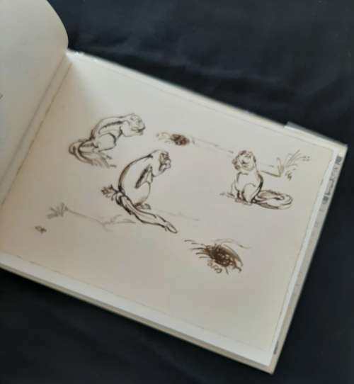 Drawn from Life: A Portfolio of Wildlife drawings By Zakkie Eloff