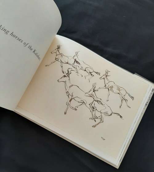 Drawn from Life: A Portfolio of Wildlife drawings By Zakkie Eloff