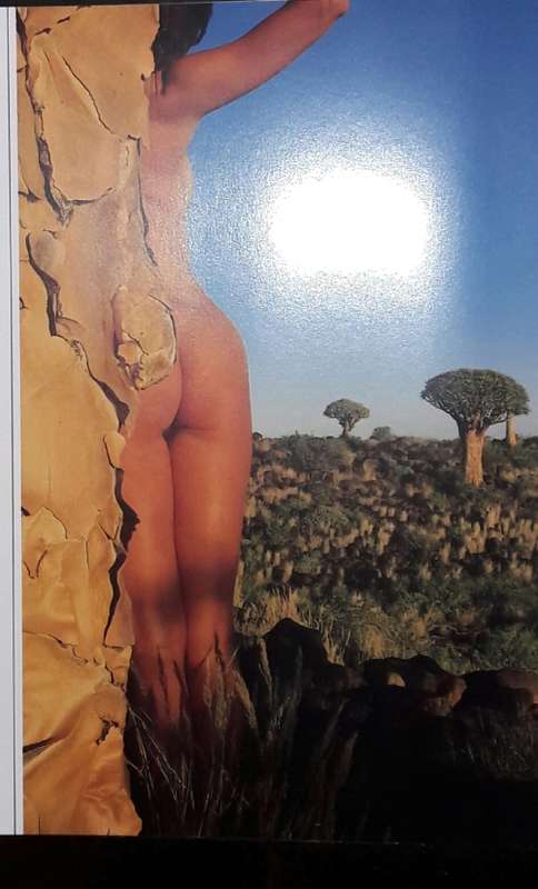 Naked Wilderness - Colin Mead