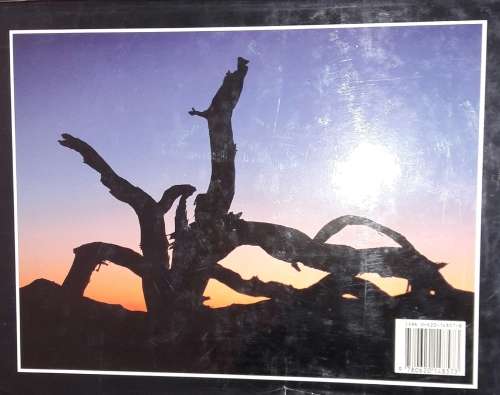 Naked Wilderness - Colin Mead