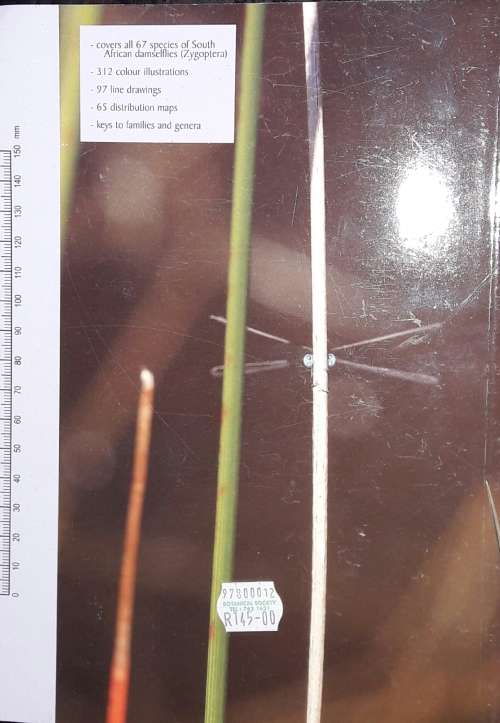 A Fieldguide to the Damselflies of South Africa - Warwick and Michele Tarboton