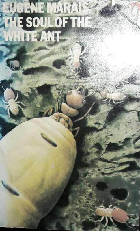 The Soul Of The White Ant - Eugene Marais