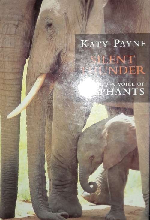 Silent Thunder - The Hidden Voice Of Elephants - Katy Payne