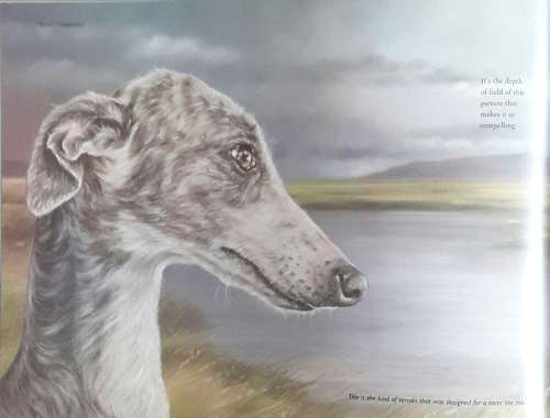 Loyal Companions - written by Roy Victor Harding - Lisa Halstead - Artist