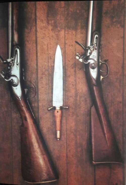 The World`s Great Guns - Frederick Wilkinson