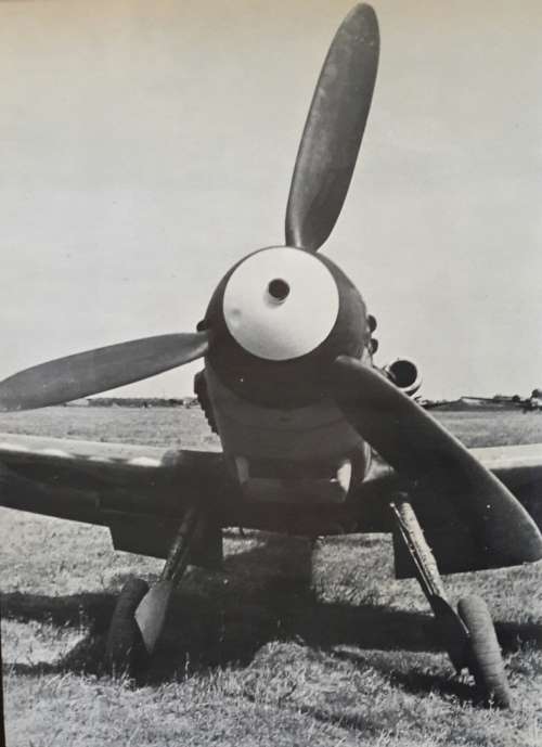 Messerschmitt Bf109  At War - Armand van Ishoven