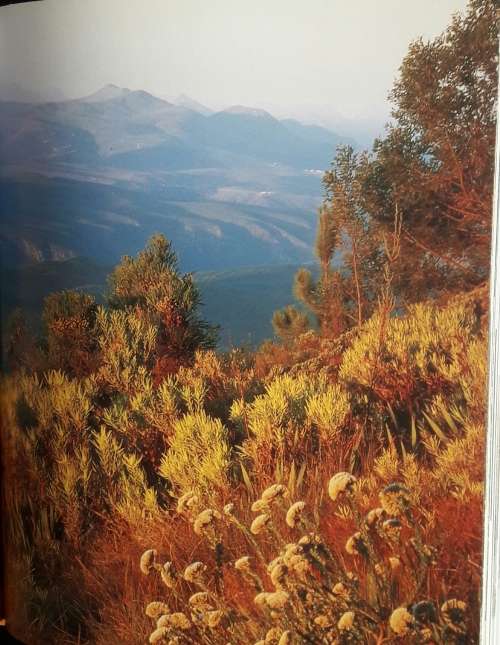 The Garden Route and Little Karoo - Leon Nel