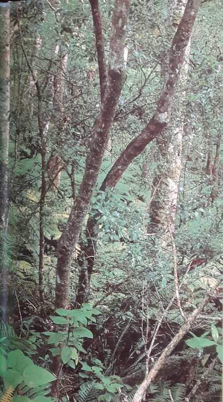 The Garden Route and Little Karoo - Leon Nel