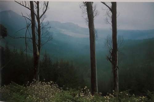 The Garden Route and Little Karoo - Leon Nel