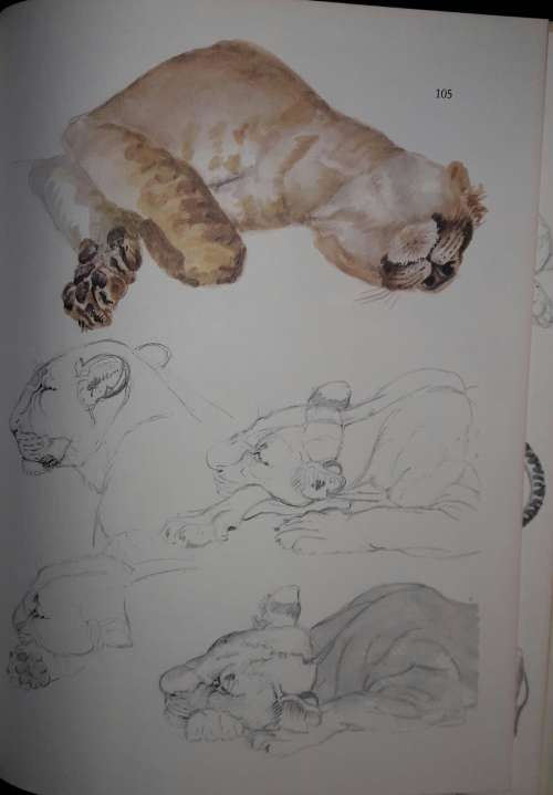 Joy Adamson`s Africa - Joy Adamson