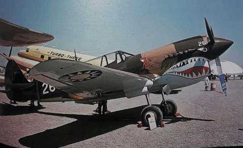 P-51 Mustang - William Newby Grant